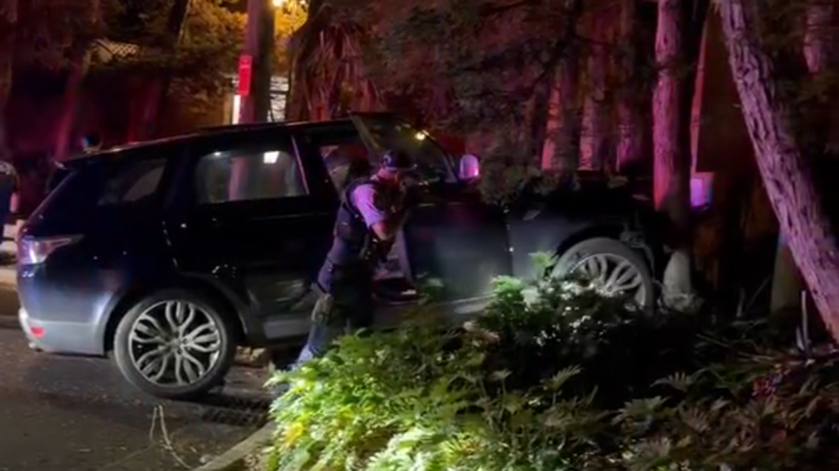 Teens cuffed after car chase through residential streets in Sydney