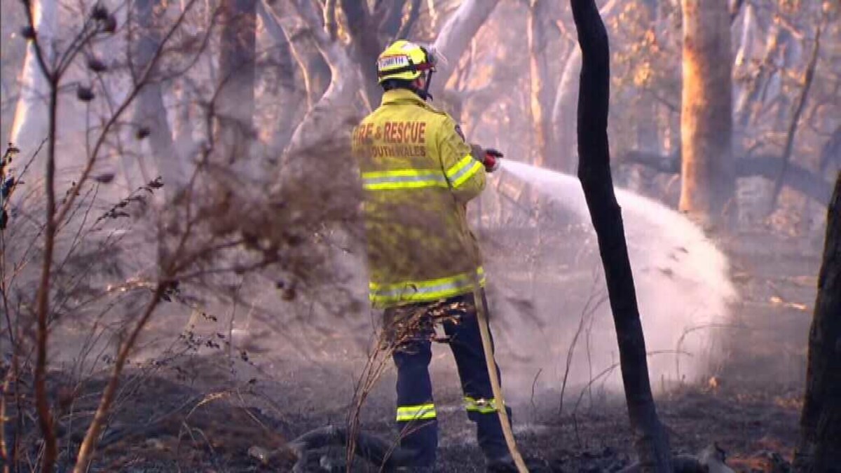 Structures destroyed as nearly 100 bushfires burn in NSW | Nine.com.au