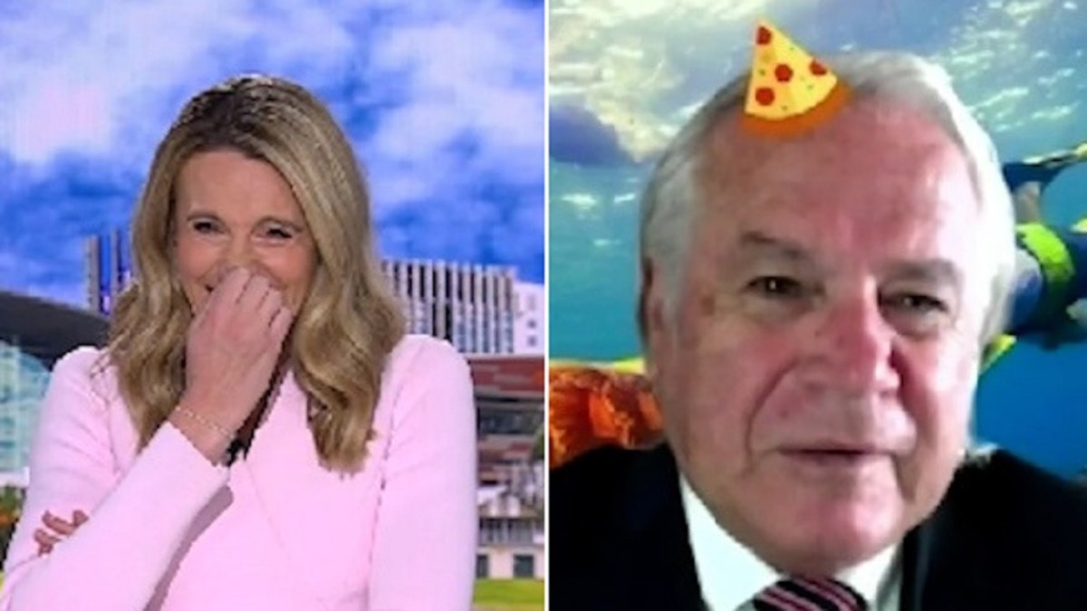 Zoom fail: 9News host in stitches over 'seasoned' guest's Zoom ...