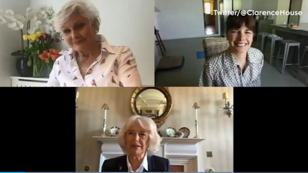 The Duchess of Cornwall joins in on a video chat from isolation.