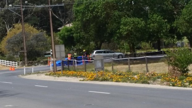The collision happened in Springton, South Australia. (9NEWS / Tom Angley)