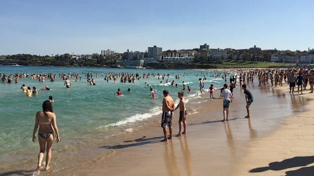 Sydneysiders can look forward to warm long weekend with temperatures set to rise to 28 degrees. (AAP)