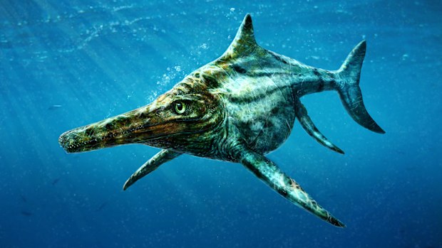 A handout digital image released by the University of Edinburgh shows an artist's impression of the new species.