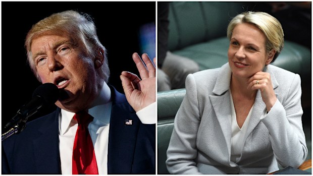 Tanya Plibersek has voiced concerns about a Trump presidency. (AAP)