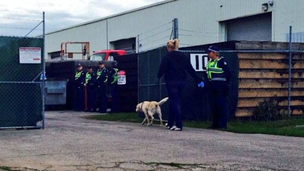 Sniffer dogs were brought in as part of the Rebels raid at the Dandenong South factory this morning. (Andrew Nelson, 9NEWS)