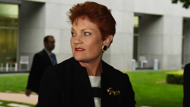 One Nation leader Senator Pauline Hanson. (AAP)