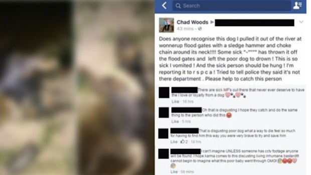 Local fisherman Chad Woods posted his account of the grisly discovery to social media. (Facebook)