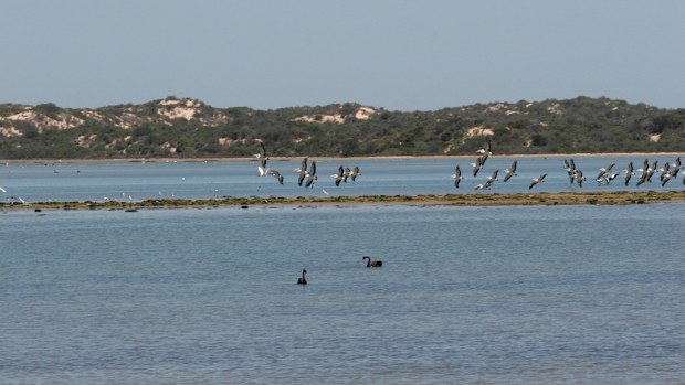 Murray River file image (AAP)