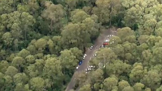An eight-year-old boy has been seriously injured by a falling tree at Erskine Falls. (9NEWS)