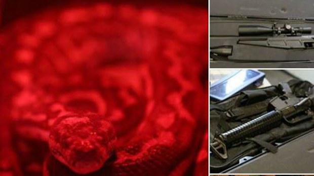 Police raided a number of properties across Sydney, in a major drug operation. Pet snakes were also seized. (Picture: Supplied)