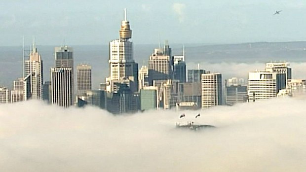 The flags peeking through the fog. (9NEWS)