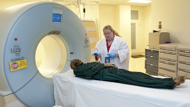 Tests conducted on mummies discovered in Hungary have shed light on the origins of tuberculosis. (AAP)