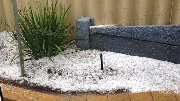 Part of Perth pelted with hailstones. (Sas Loos, 9NEWS)