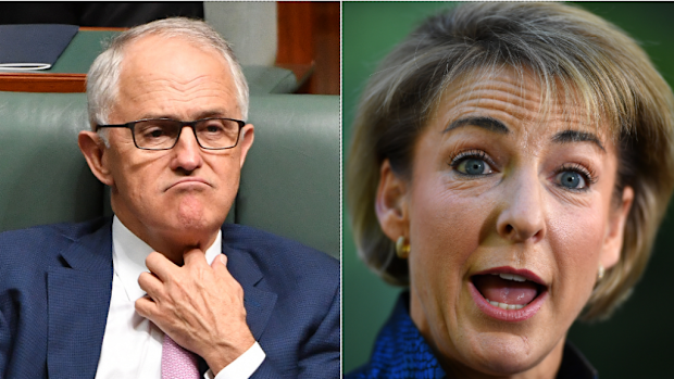 Malcolm Turnbull has said he has "forgiven" Senator Cash's "oversight". (AAP)