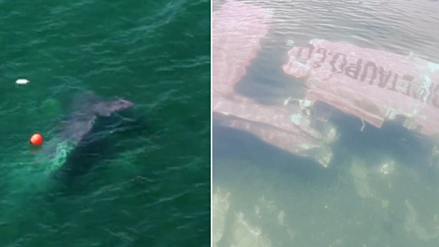 Two images of the plane at the bottom of Lake Taupo in New Zealand. (Supplied)