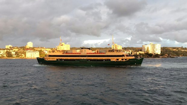 The Queenscliff ferry became stuck around 200m from the Manly ferry terminal. (Twitter)
