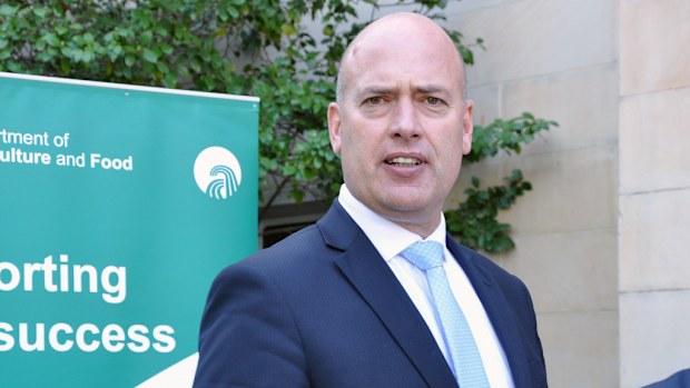 WA Transport Minister Dean Nalder speaks to the media outside Parliament House in Perth, Wednesday, April 6, 2016. (AAP)