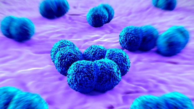 Meningococcal infection is caused by a bacterium called Neisseria meningitidis. (AFP)