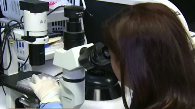Researchers have discovered a new vaccine that could cure dementia. (9NEWS) 
