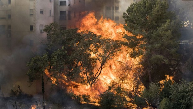 A picture taken on November 24, 2016 shows a fire raging in the northern Israeli port city of Haifa. (AFP)