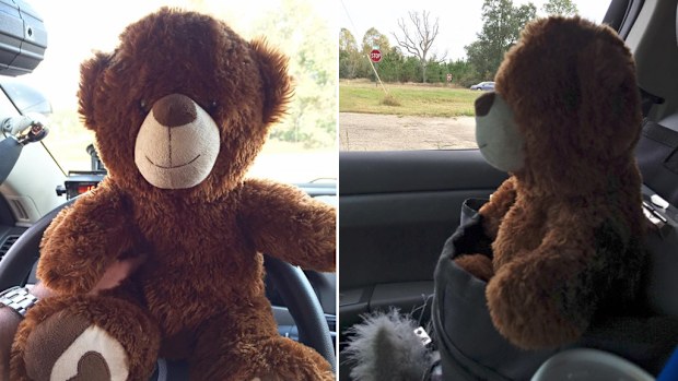 A police officer in the US was given a teddy bear to watch over him by a young girl which he now keeps with him in his patrol car. (Facebook)