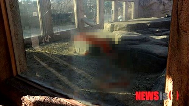 The blood-stained enclosure. (Econovill.com)