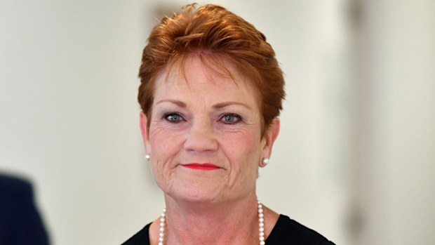 Senator Pauline Hanson. (AAP file image)