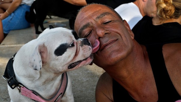 Tel Aviv, Israel, has held a festival to celebrate Dog Day. (AFP)