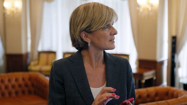 The Australian Minister for Foreign Affairs Julie Bishop checks her smartphone shortly after her arrival in Kiev. (EPA/SERGEY DOLZHEKO)