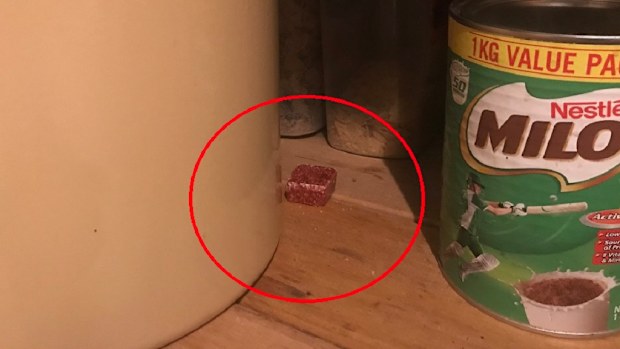 Mouse bait in cupboard photo