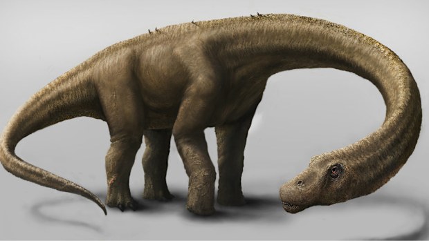 Paleontologists have discovered the fossils of a massive 26m dinosaur. (AAP)