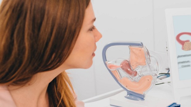 Woman appointment fertility doctor without partner