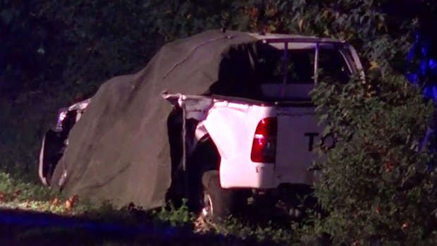  The car crashed into a power pole. (9NEWS)