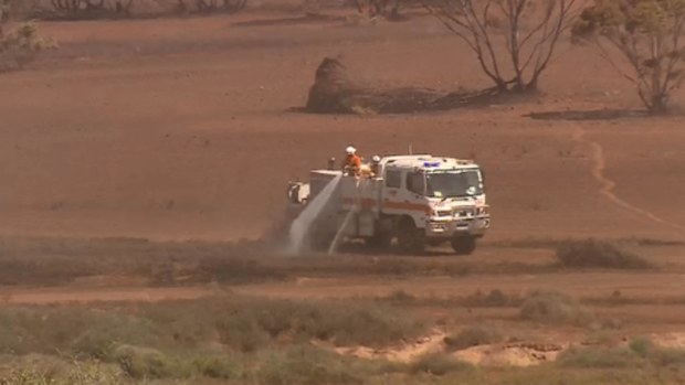 CFS firefighters. (9NEWS file)