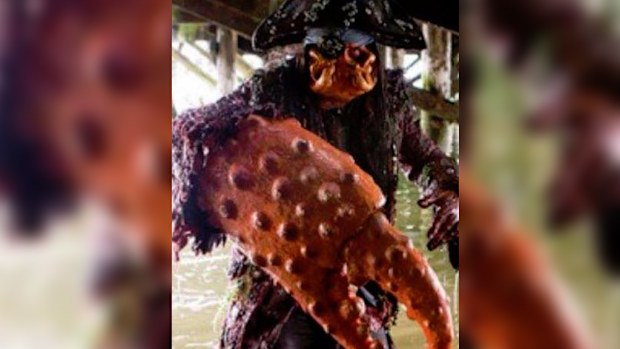 A Redland Bay man, dubbed Crabman, is scaring illegal fishers from taking undersized catches. (9NEWS)
