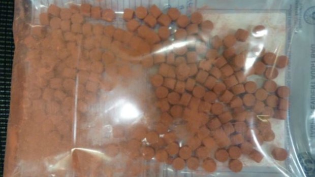 Police allegedly found 150 ecstasy tablets at the Davoren Park address. (Supplied: SA police)