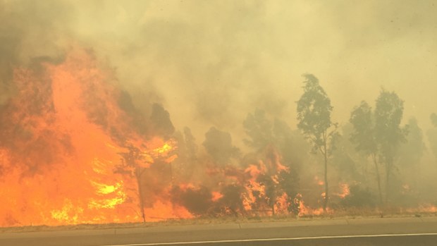 A passenger in a car on the Hume Freeway took this photo of flames. (Supplied / Meg Wedding)