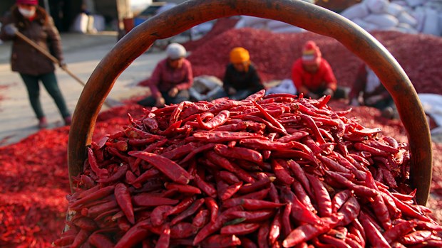 Eating chilli could prolong your life, a new study shows. (AAP)