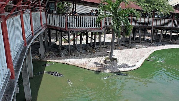 The Samut Prakan crocodile farm is popular with tourists. (Getty Images)