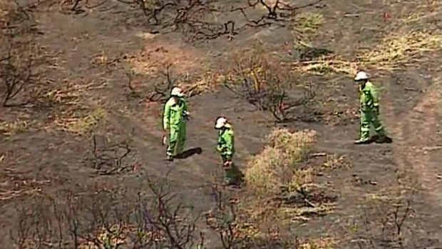 Firefighters from the Department of Environment and Primary Industries inspect possibility of arson. (9NEWS)
