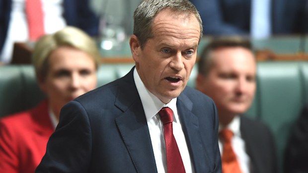 Labor leader Bill Shorten has delivered his budget reply speech. (AAP)