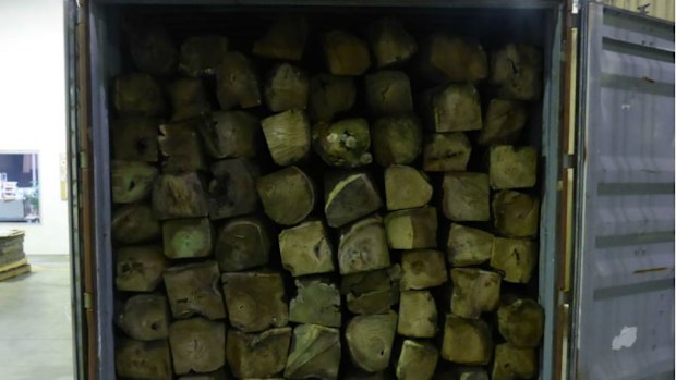 The drugs were hidden inside logs. (AFP)