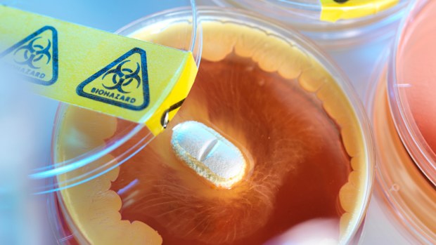 Antibiotic testing. (AFP file image)