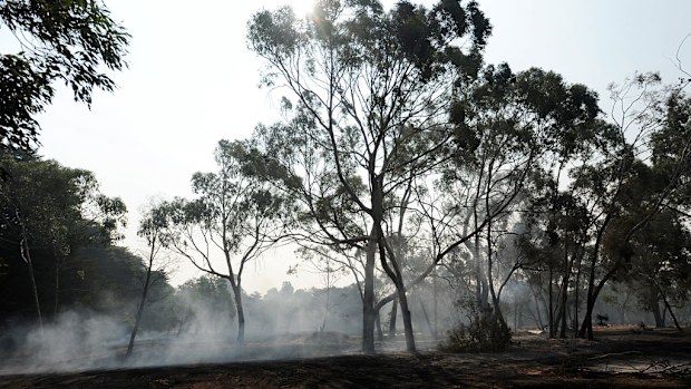 Kilmore cemetery after a fast moving bushfire reached the outskirts of Kilmore, north of Melbourne, Tuesday February 11. (AAP)