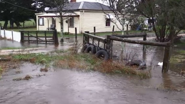 A man has been rescued from floodwaters in Gippsland. (9NEWS)