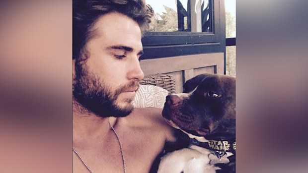 Liam Hemsworth shared this photo on Instagram with the caption "#TrueLove". (Instagram)
