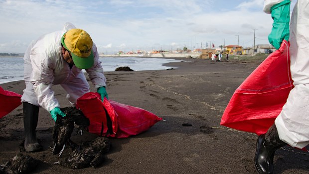 The birds were found on a small black-sand beach in the southern town of Lenga. (AFP)