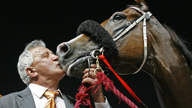 Takeover Target was put down overnight after a paddock accident on NSW's north coast. (AAP)