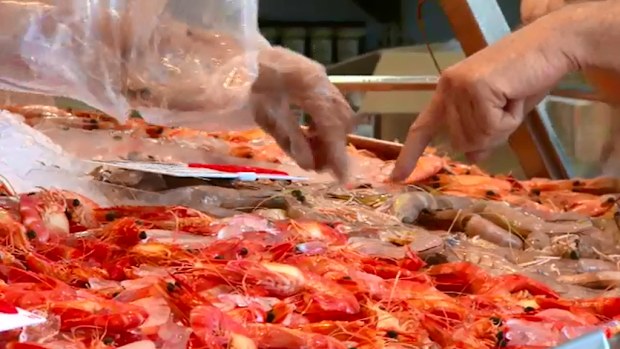 Prawns. (9NEWS file image)
