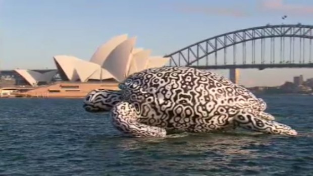 The giant sea turtle cruised around Sydney Harbour today to celebrate a Sydney Aquarium exhibition. (9NEWS)